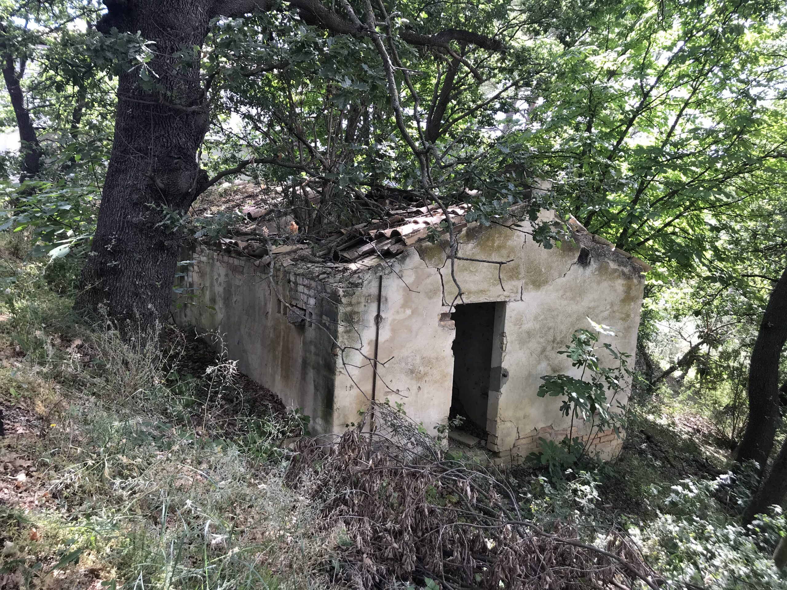 DEMOLIZIONE E RICOSTRUZIONE DI RIMESSA CON TRASFORMAZIONE IN ABITAZIONE SUPERBONUS 110